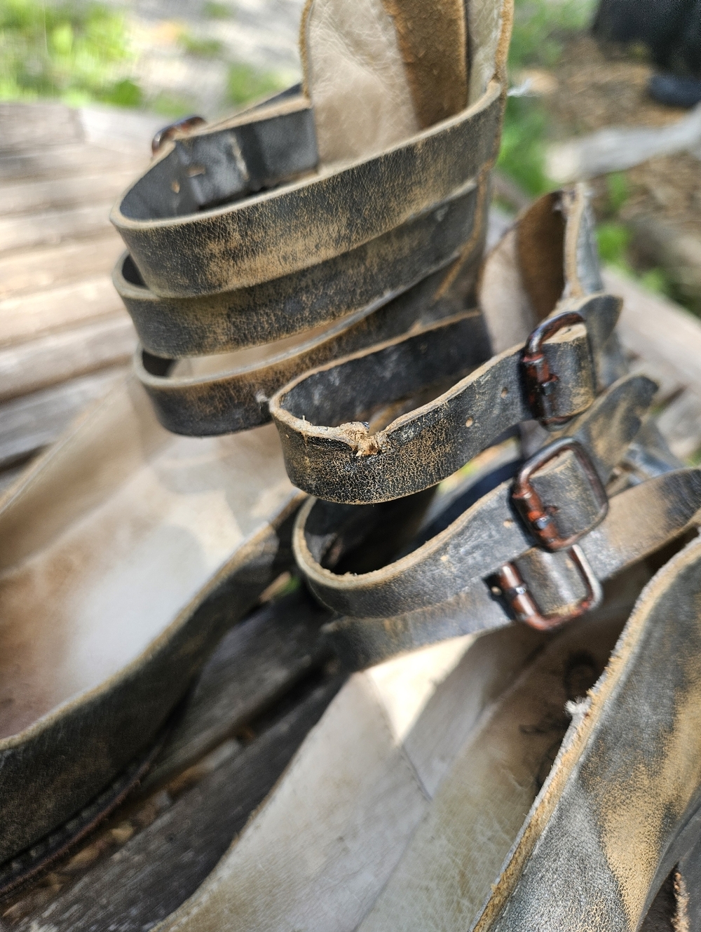 Freebird Randi OG - Picture 3 of 5